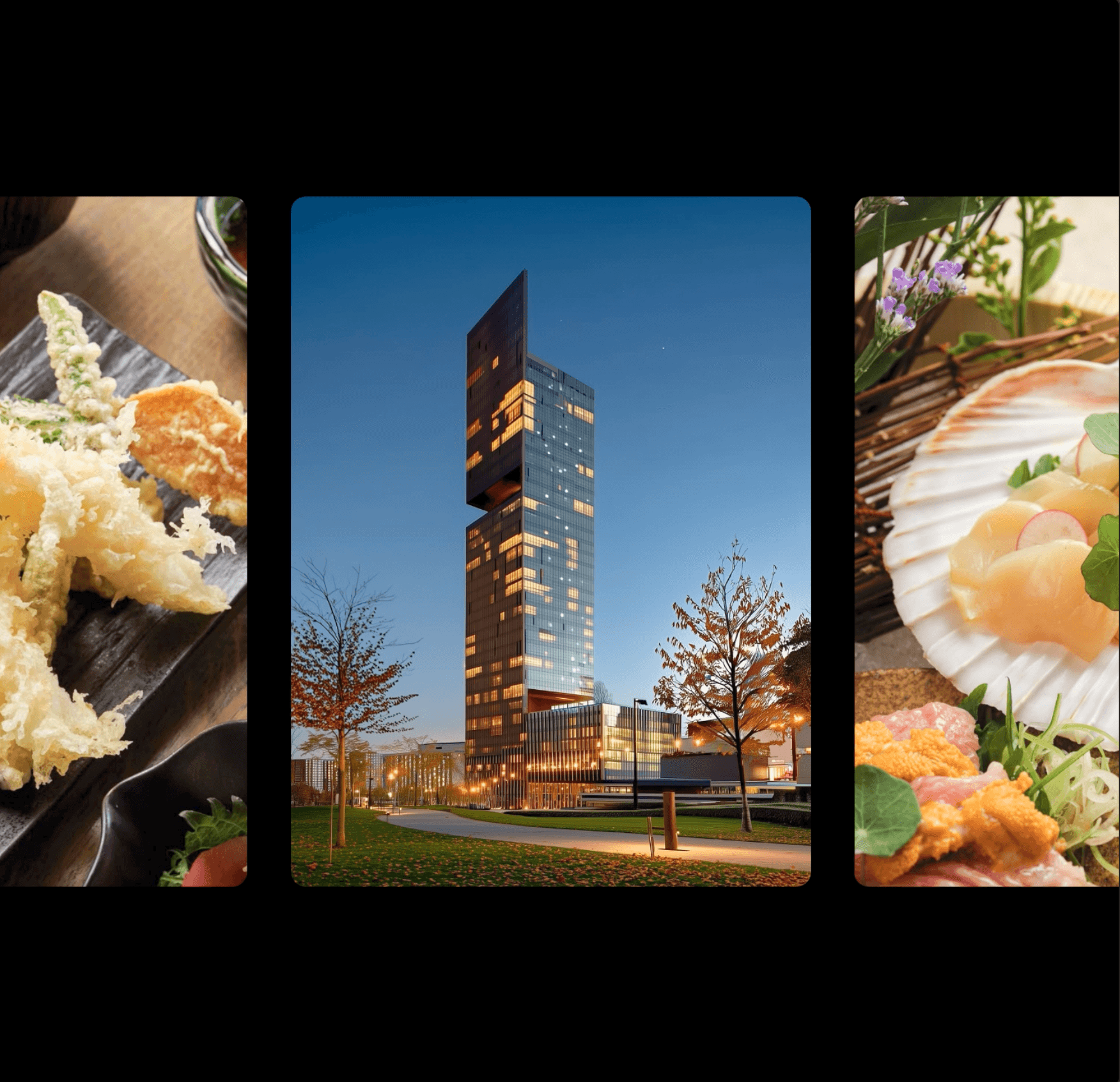 no image alternative text provided