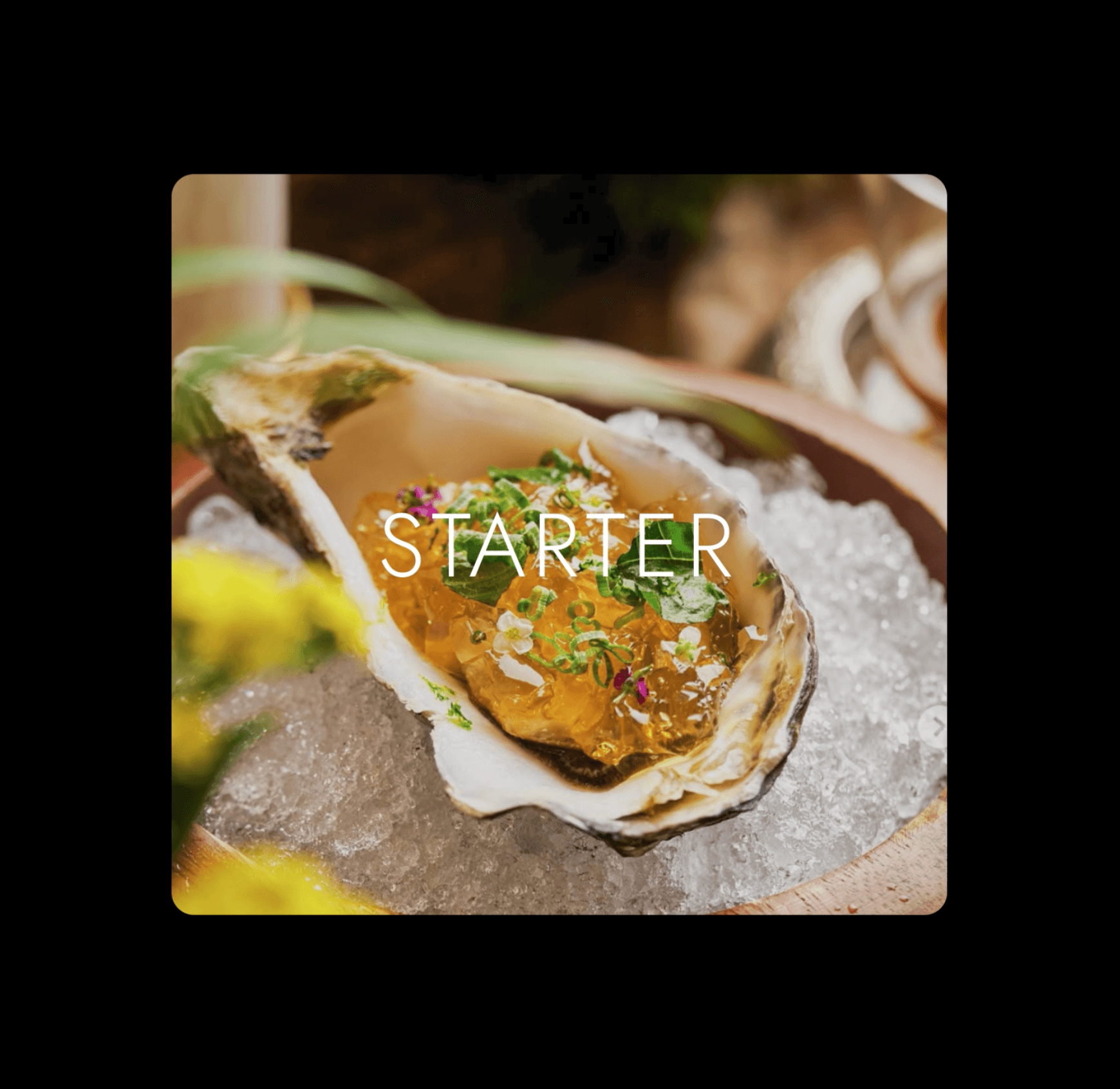 no image alternative text provided