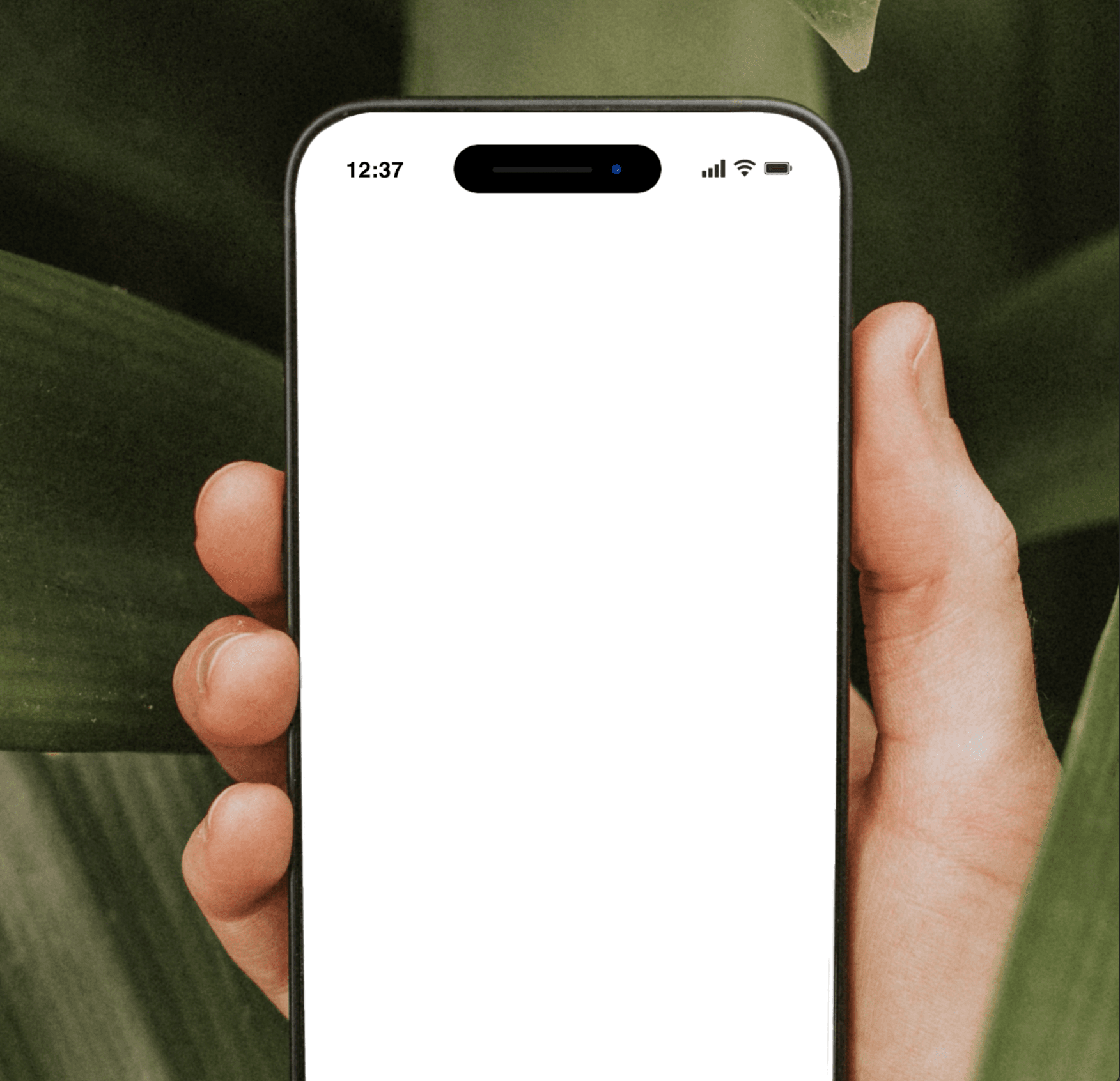 no image alternative text provided